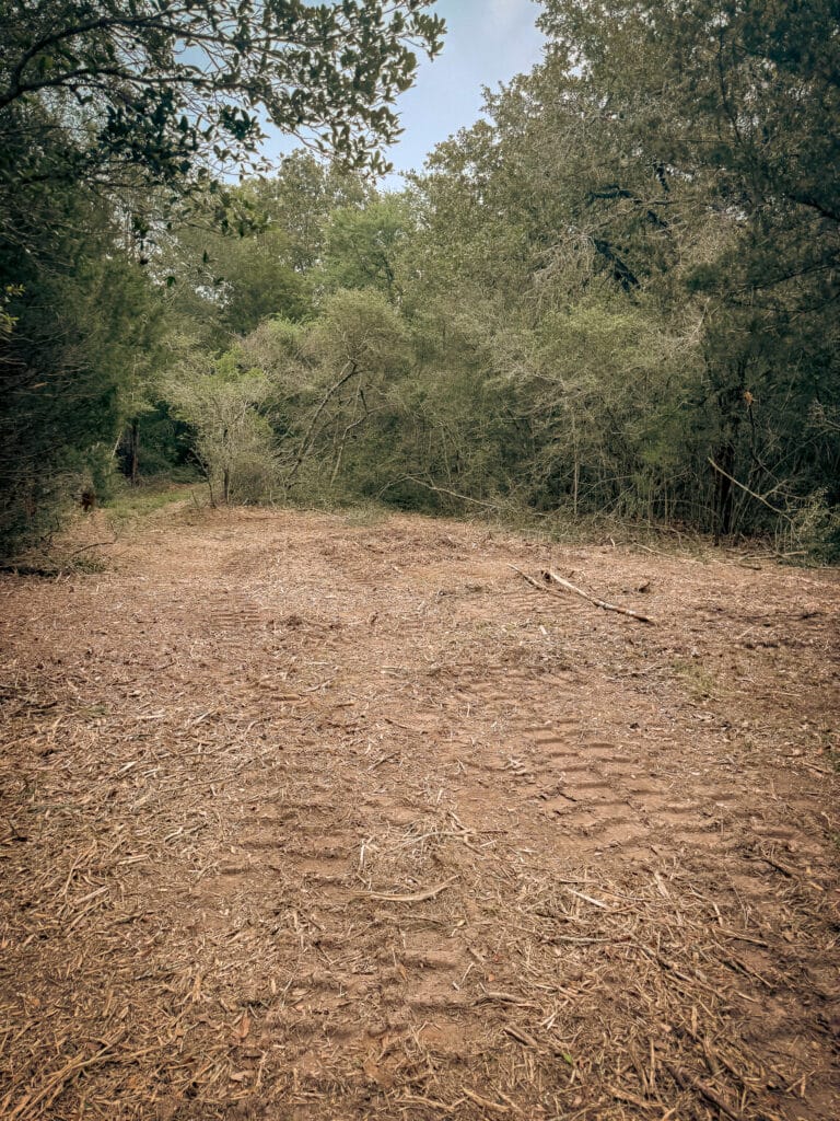 Ground cleared back to the brush line with equipment tracks in the mulch, Brazos Valley, TX