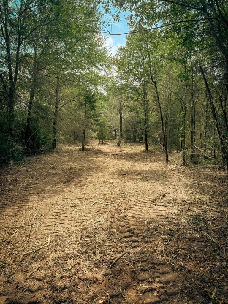 Wide lane cleared through the woods with equipment tracks, Navasota, TX