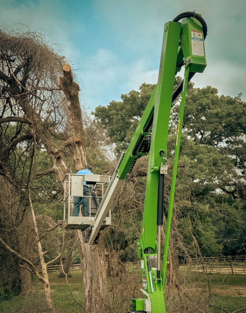 Sawyer in a lift bucket sectioning the dead tree beside the barn, Brazos Valley, TX