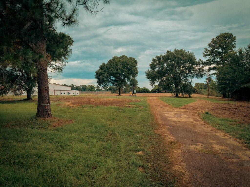 The same track after land clearing, open ground on both sides with the ribboned pine and shade trees left standing and the treeline opened to the building beyond, near Navasota, TX