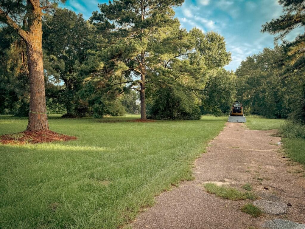 Ground level view along a concrete track before land clearing, tall grass and a closed treeline, with a ribbon marking a pine to keep, near Navasota, TX