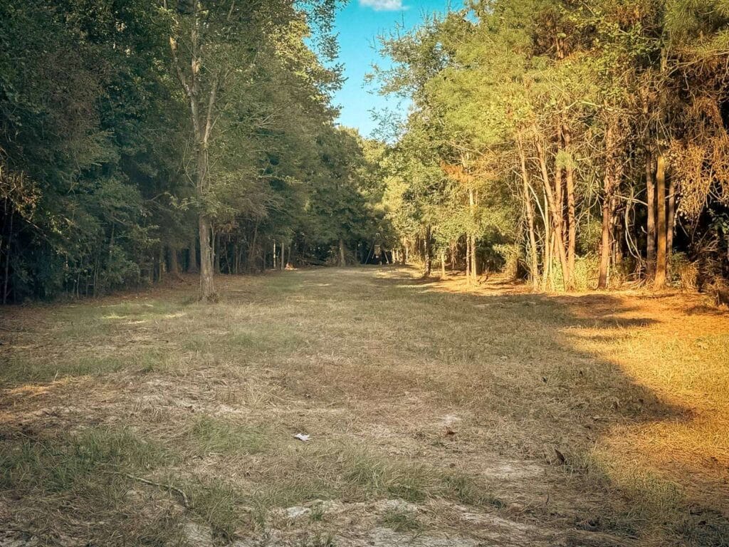 The same ground cleared to a wide lane between the treelines, Brazos Valley, TX
