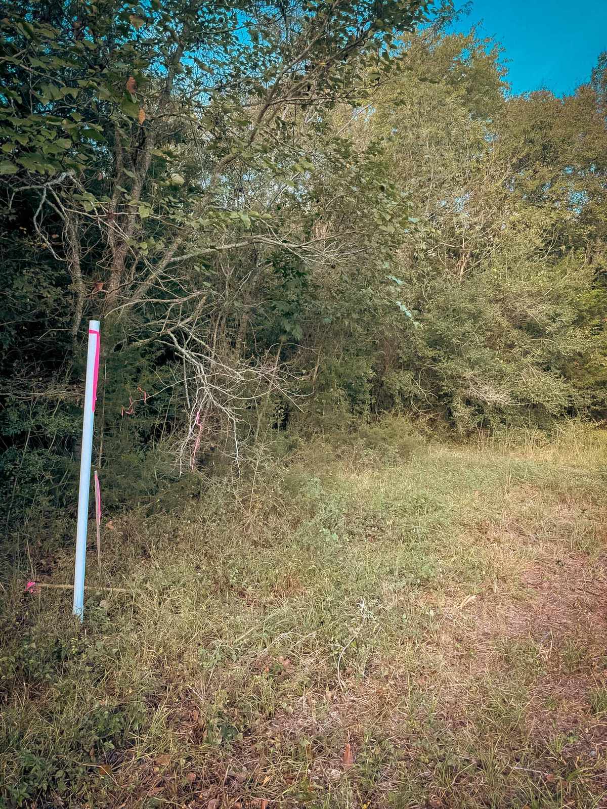 Dense brush and trees at a wooded edge beside a flagged survey stake before fence line clearing, Brazos Valley, TX
