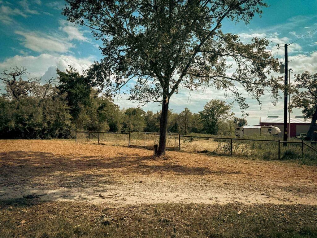 The same stretch beside the gravel drive after forestry mulching, one oak left standing, Brazos Valley, TX