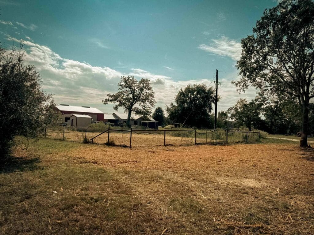 The same paddock fence corner after forestry mulching, ground cleared open to the barn, Brazos Valley, TX