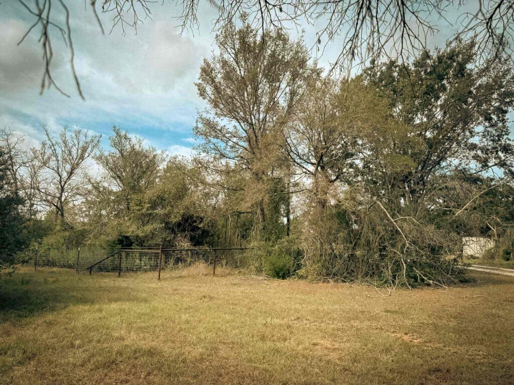 Brush pile and tall oaks beside a paddock fence corner before forestry mulching, Brazos Valley, TX