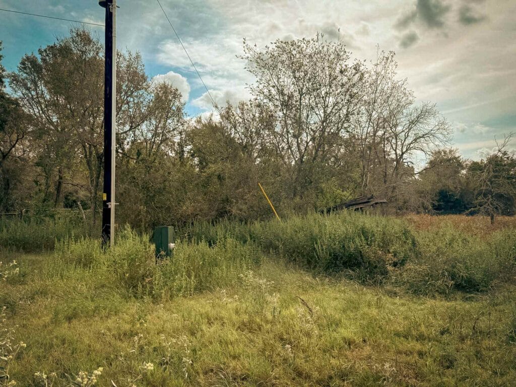 Tall weeds and brush around a utility pole and meter box before forestry mulching, Brazos Valley, TX